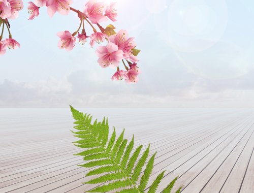 Интернет-магазин «Аромагуд»