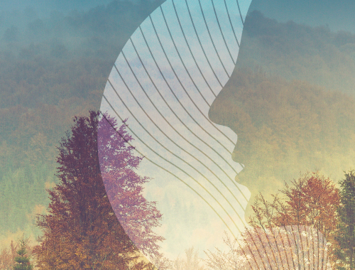 Логотип и сайт «Зона комфорта»