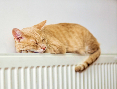 Логотип и интернет-магазин «Профобогрев»